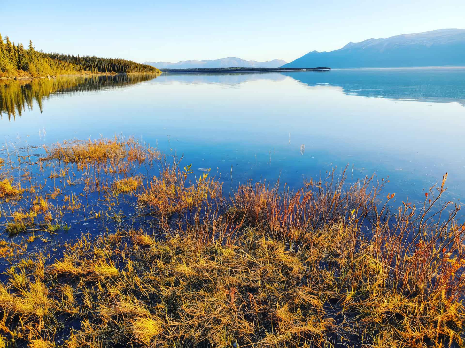 atlin-lake-and-mountains